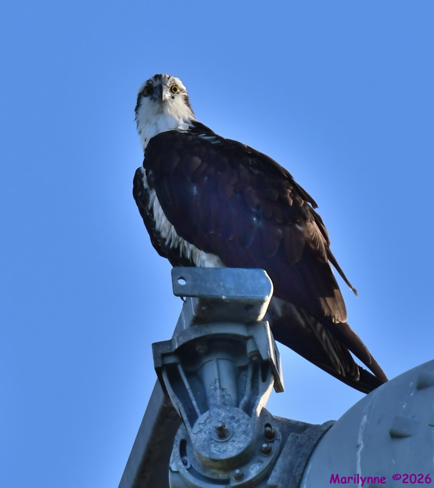 DSC_1490_001.JPG