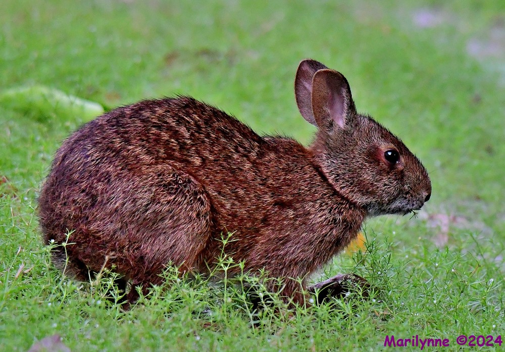 DSC_1491_001.JPG