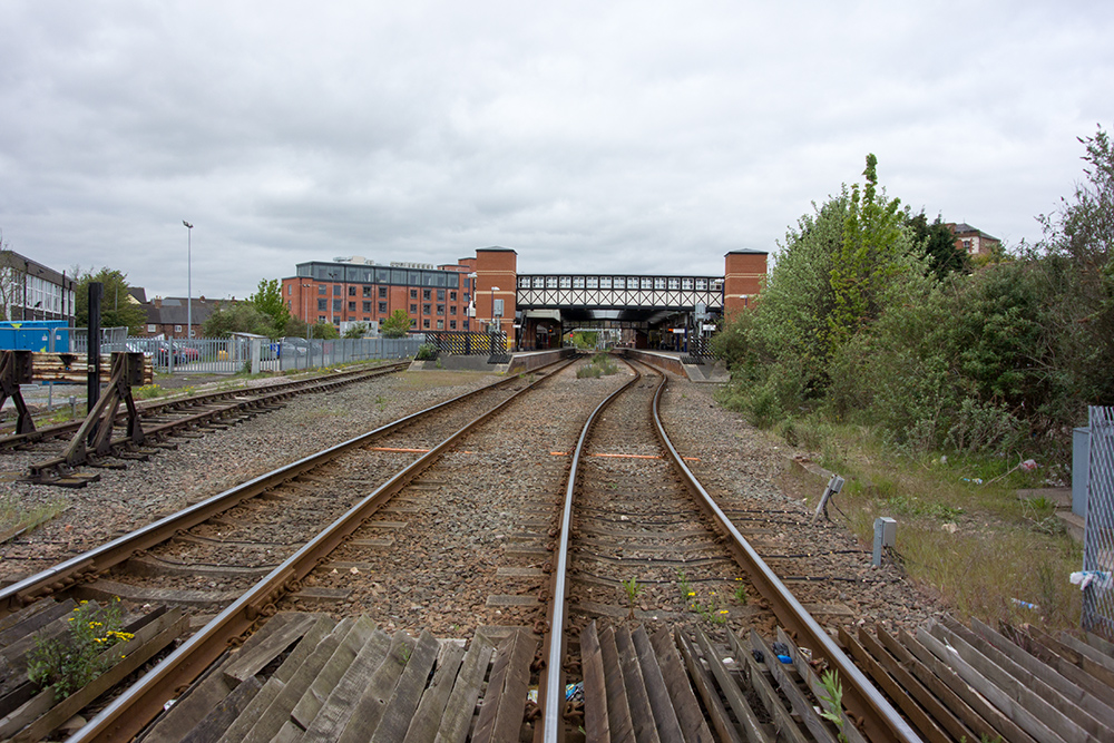 DSC_1496.jpg
