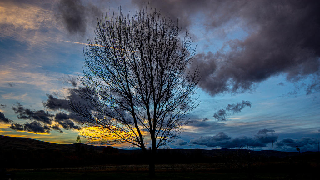 DSC_1498-HDR.jpg