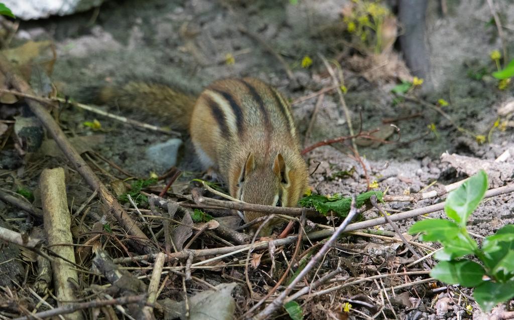 DSC_1498.jpg