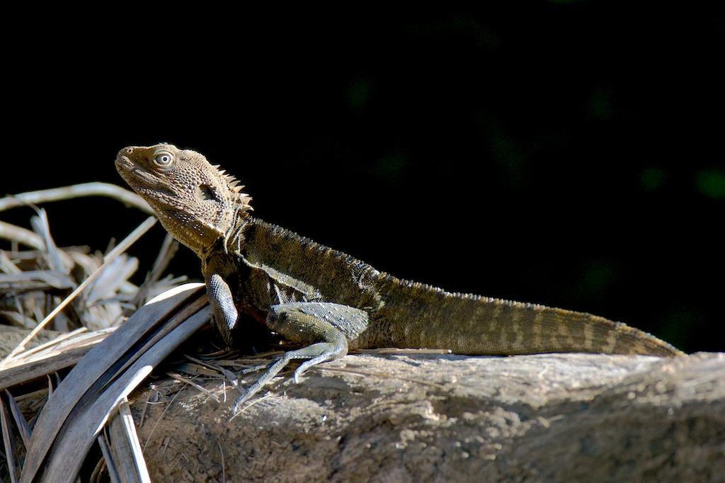 DSC_1499.jpg