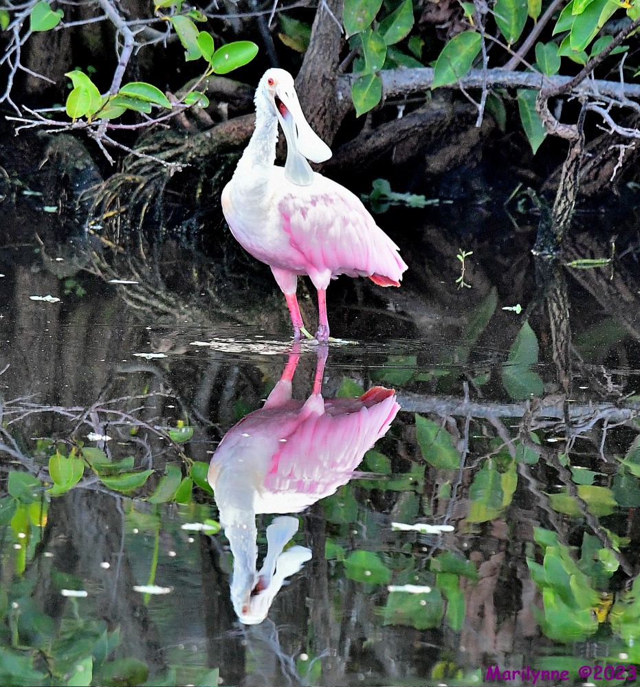 DSC_1501_001.JPG