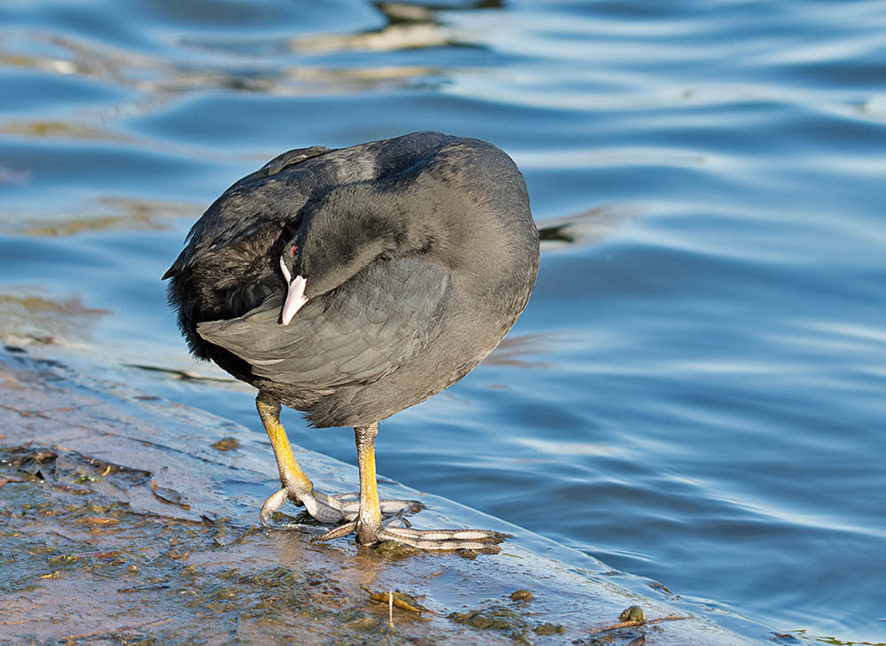 DSC_1502.jpg