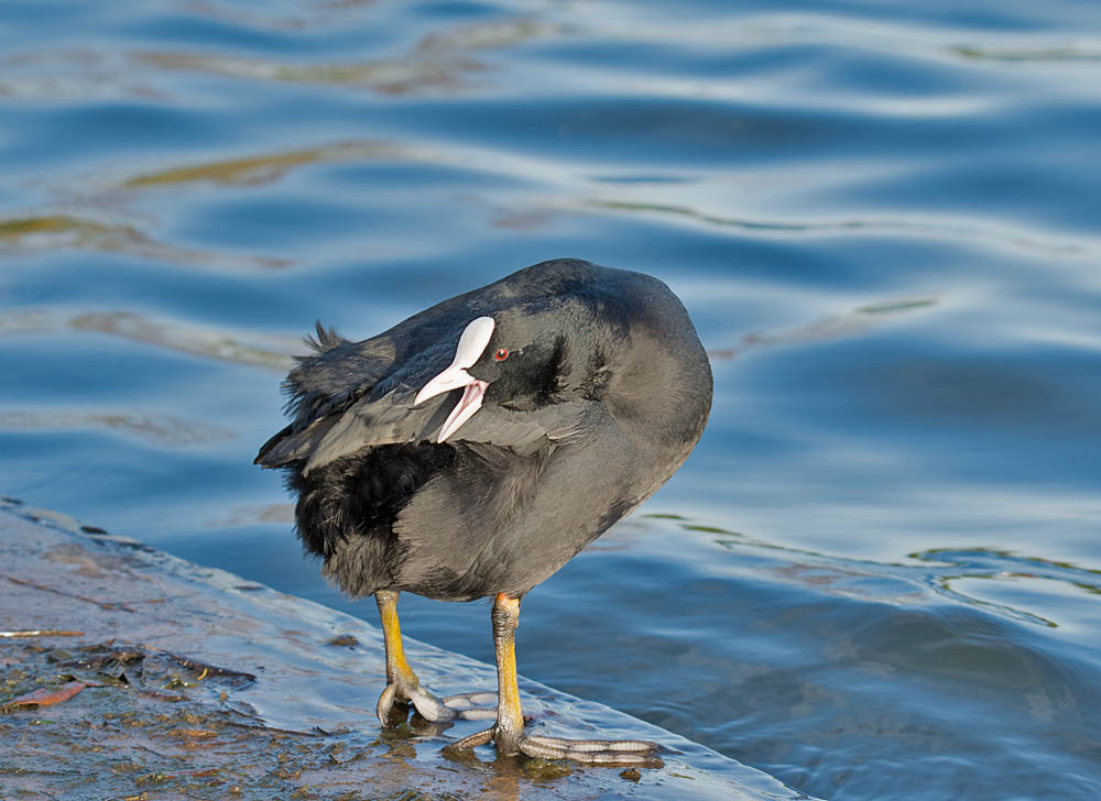 DSC_1504.jpg