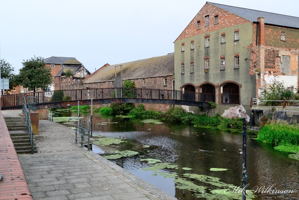 DSC_1505.JPG