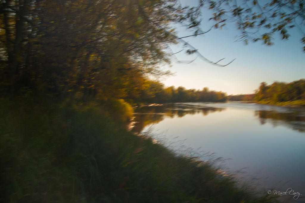 DSC_1506.jpg