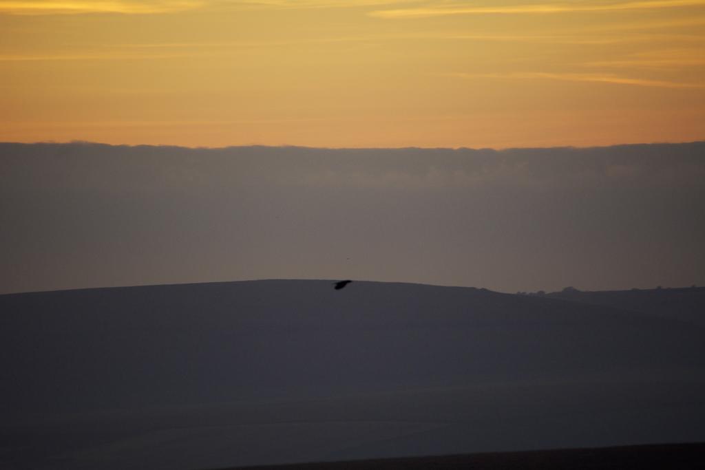 DSC_1506.jpg