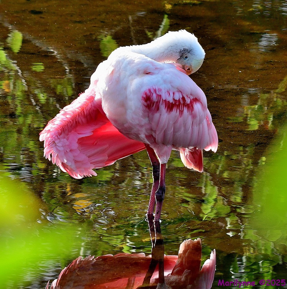 DSC_1507_001.JPG