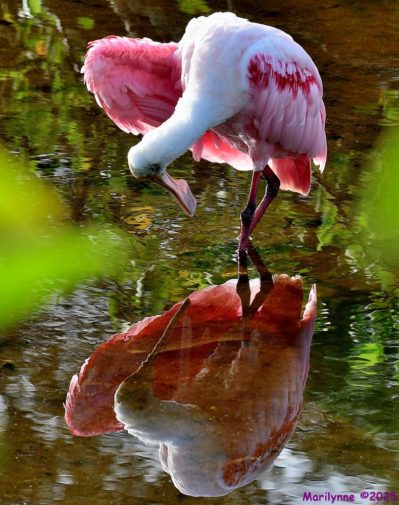 DSC_1508_001.JPG