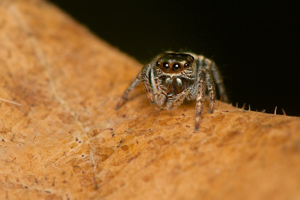 DSC_1511.jpg