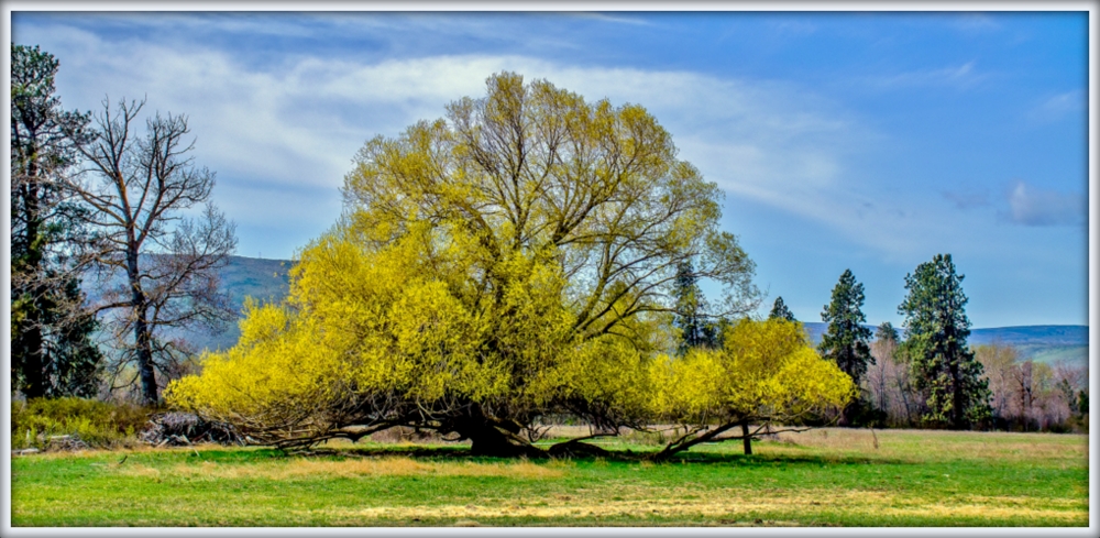 DSC_1512.jpg