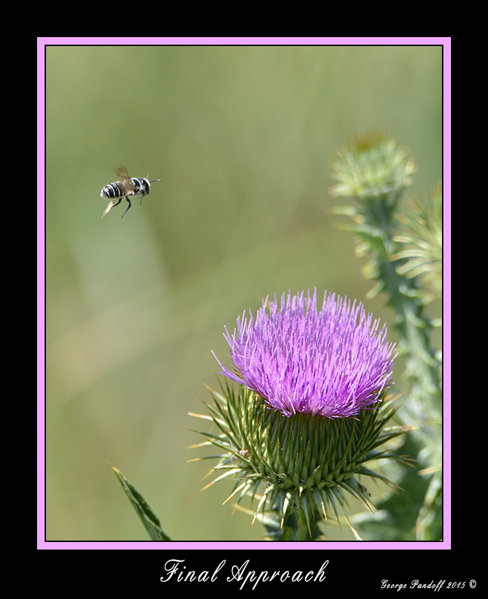 DSC_1513_Web.jpg