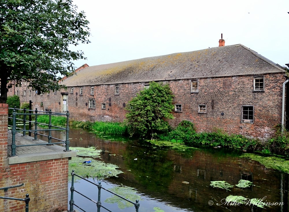 DSC_1515.JPG