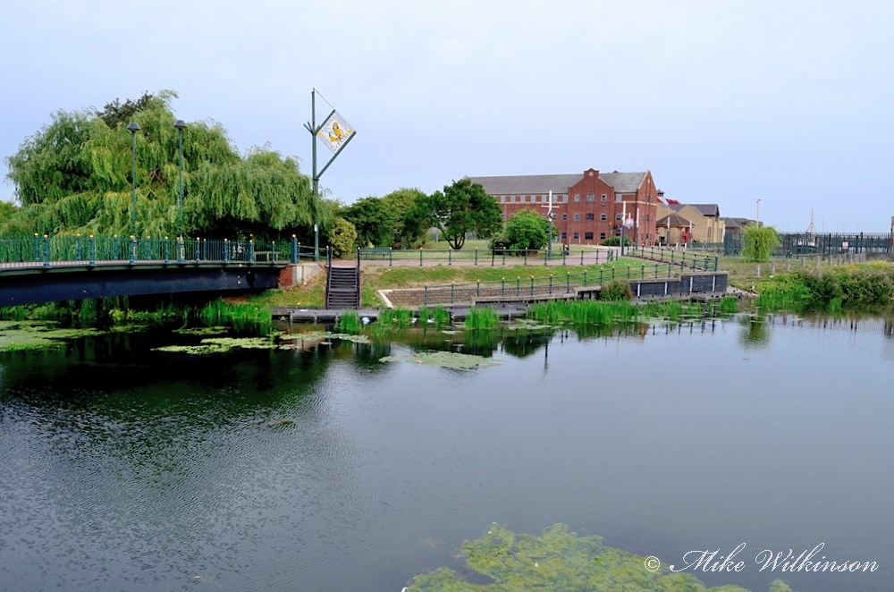 DSC_1519.JPG