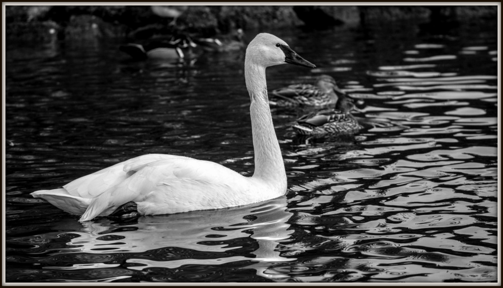 DSC_1523.jpg