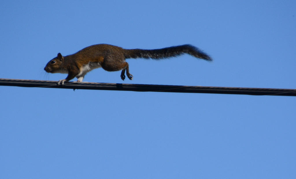 DSC_1524.jpg