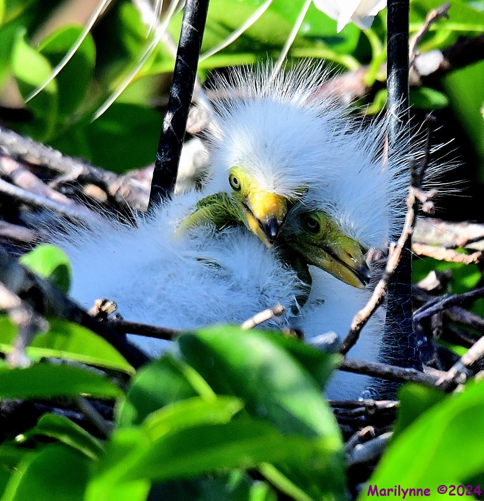 DSC_1527_001.JPG