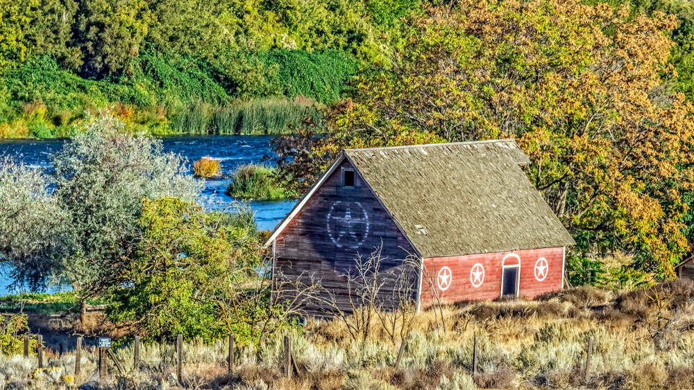 DSC_1529-Edit.jpg