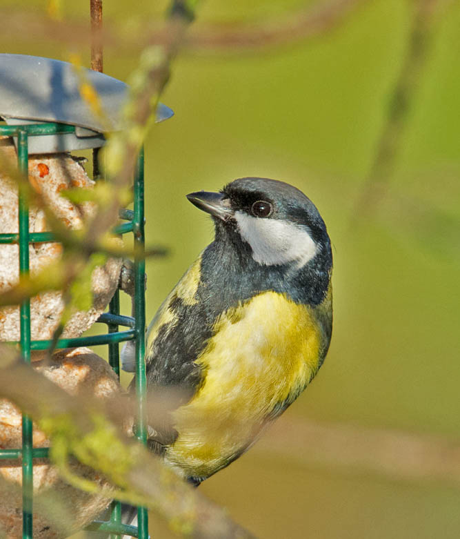 DSC_1535.jpg