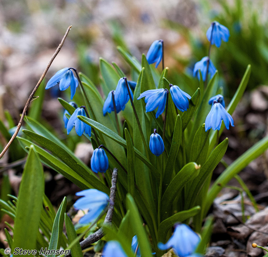 DSC_1535.jpg