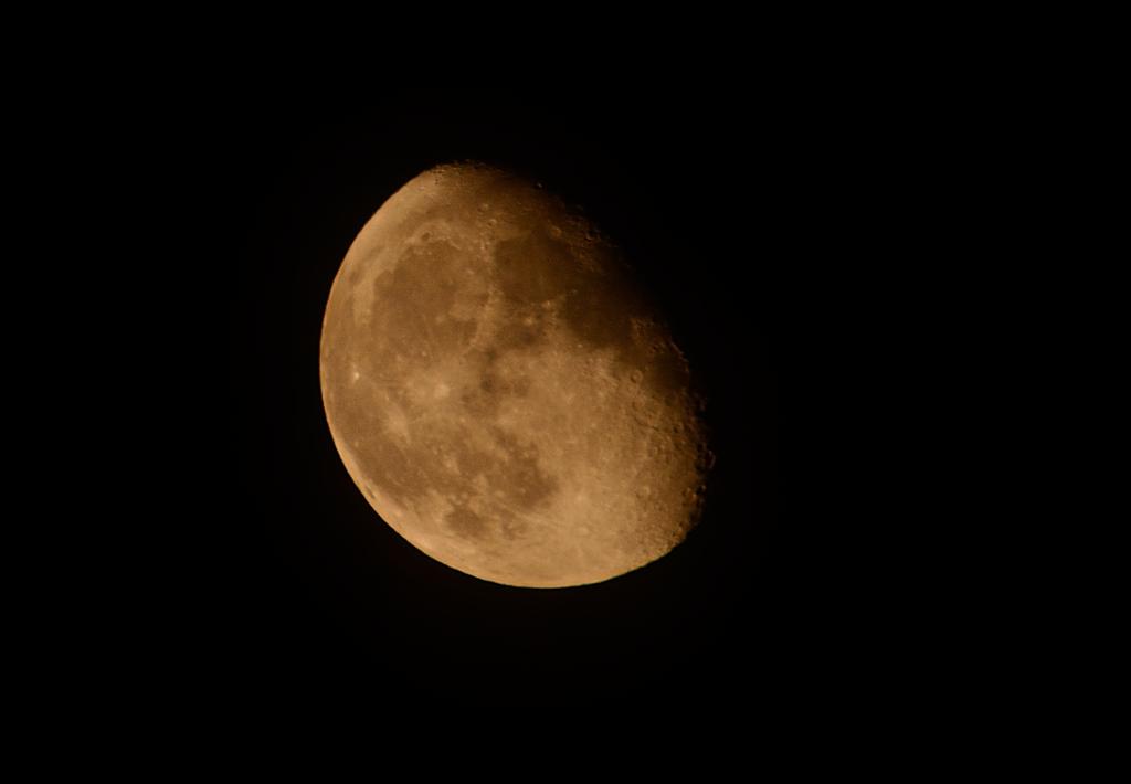DSC_1539.jpg