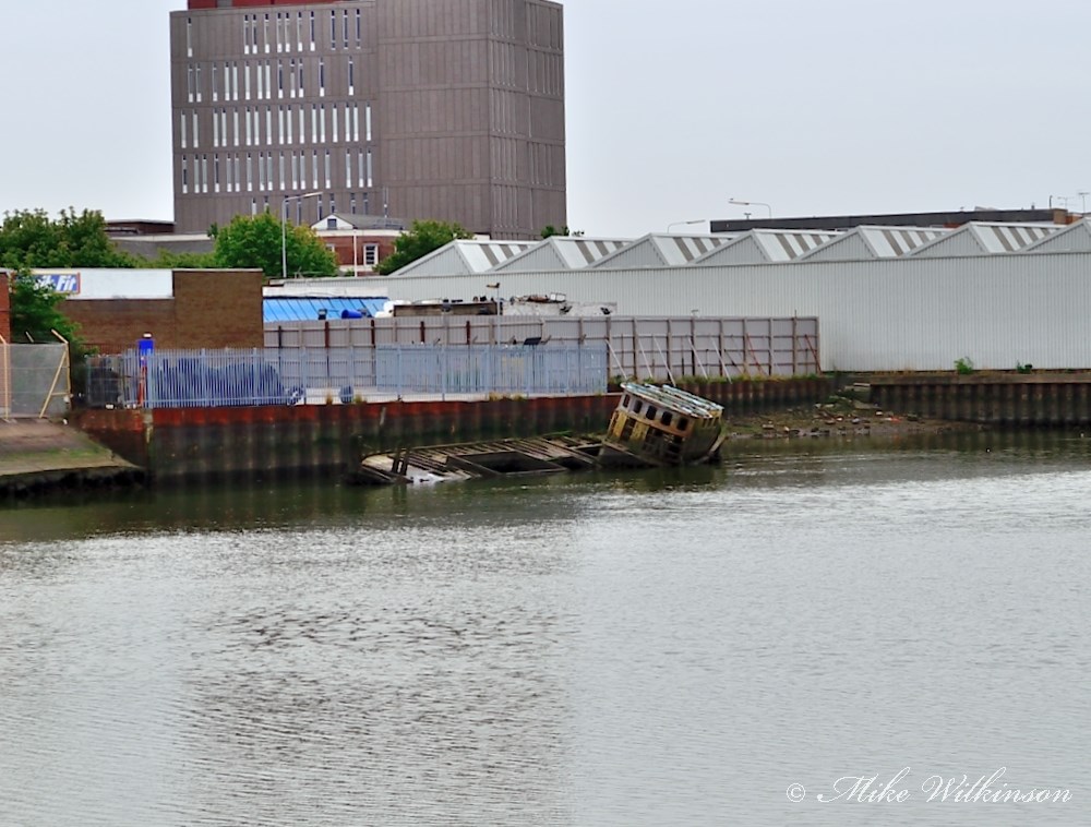 DSC_1540.JPG