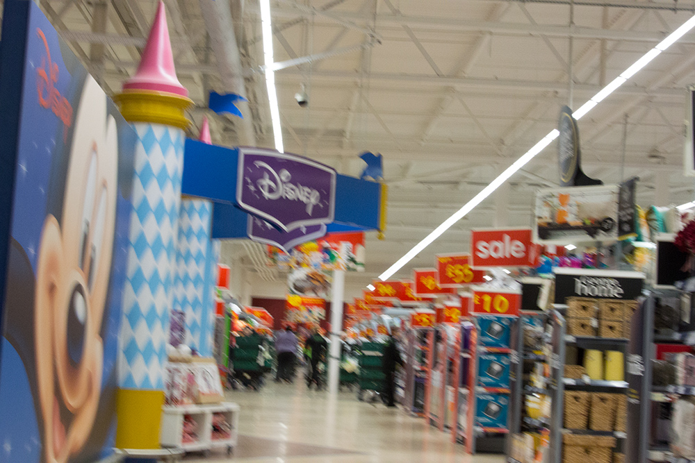 DSC_1541.jpg