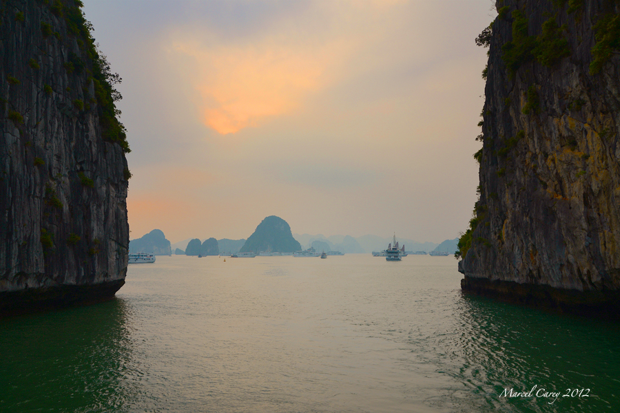 DSC_1543.jpg