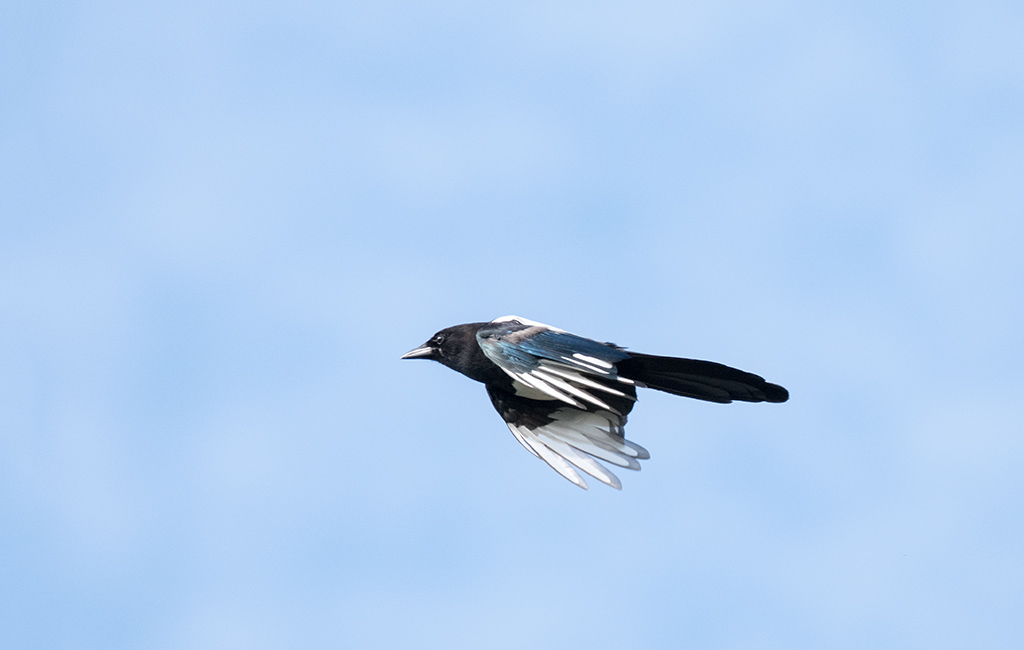 DSC_1544.jpg