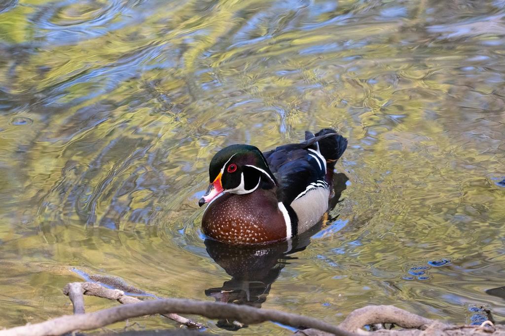 DSC_1544.jpg