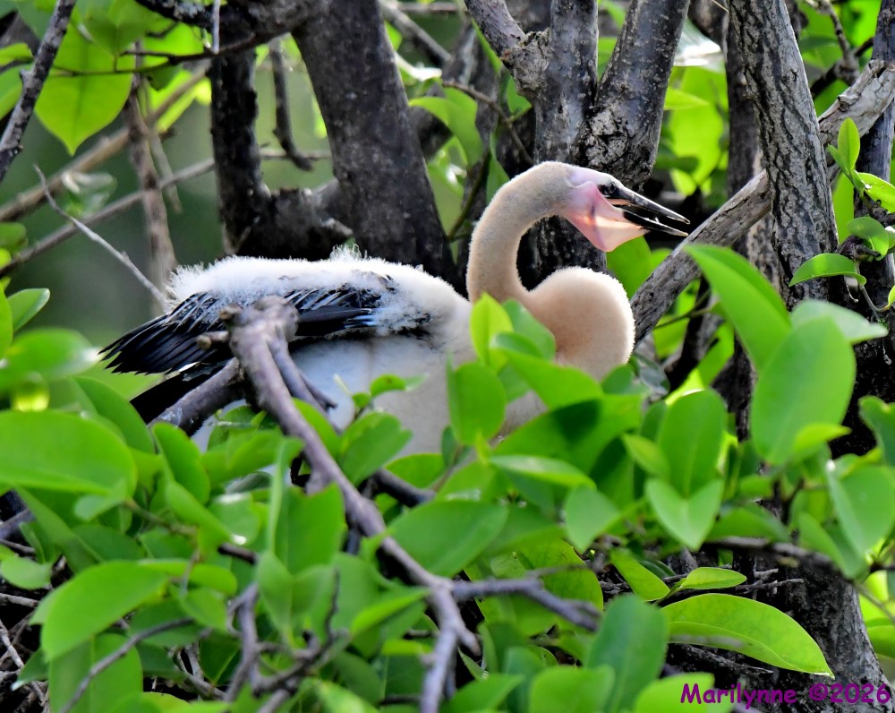 DSC_1544_001.JPG