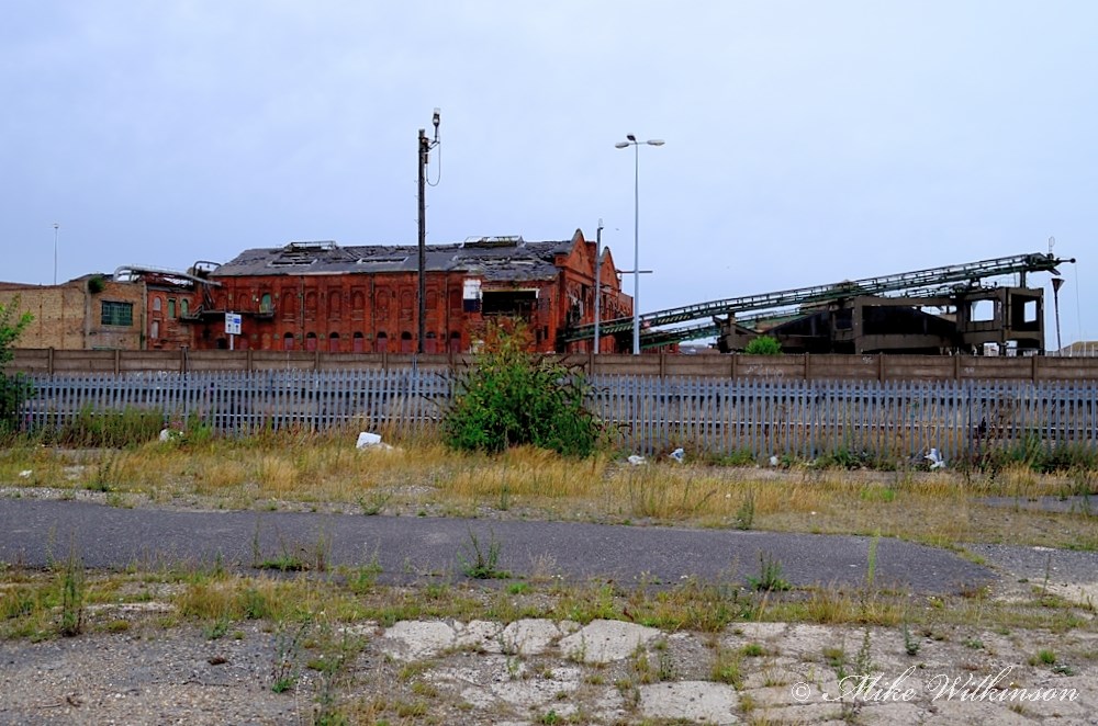 DSC_1546.JPG