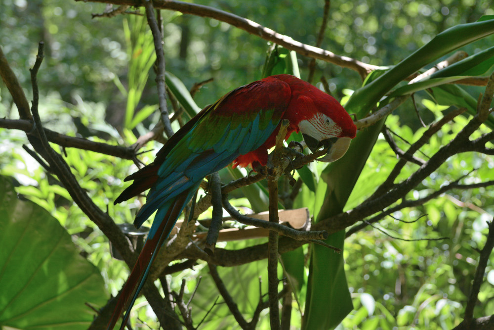 DSC_1547.JPG
