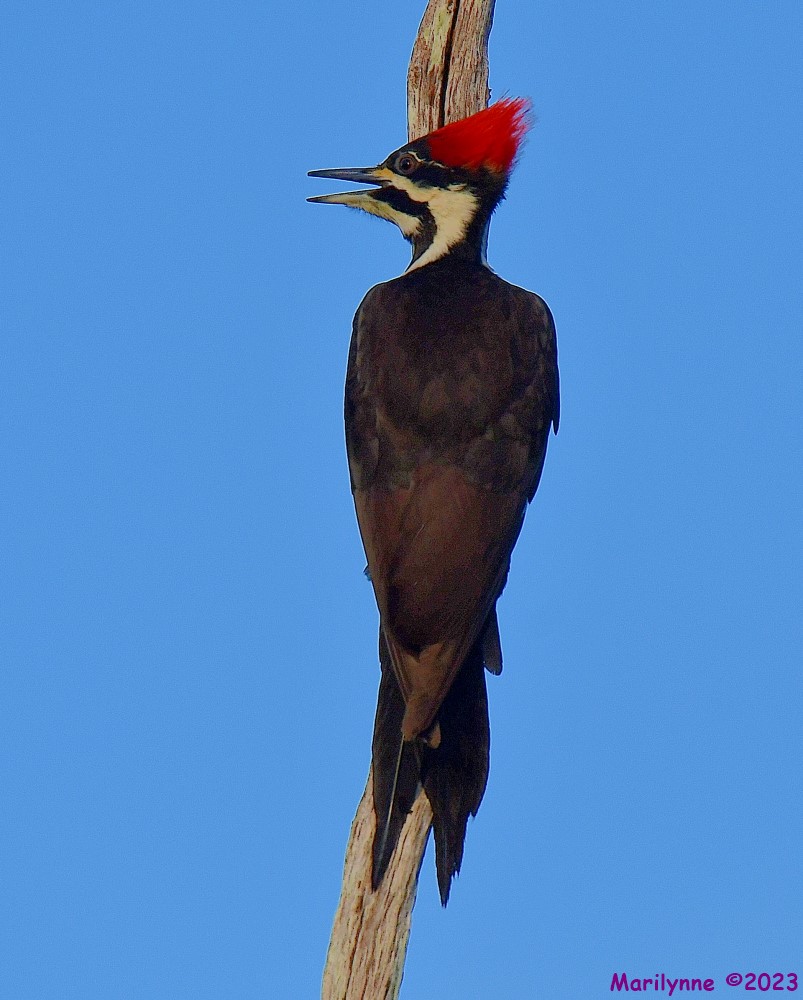 DSC_1547_001.JPG