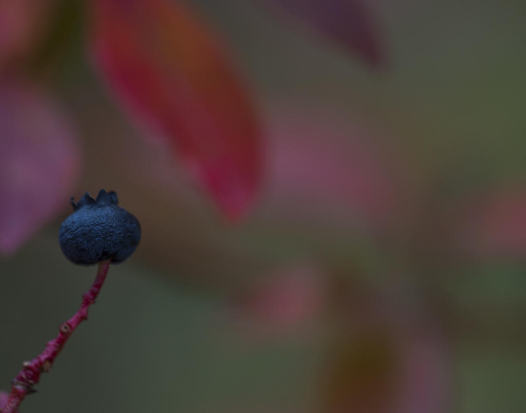 DSC_1548.jpg