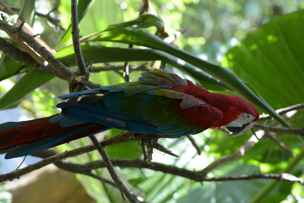 DSC_1549.jpg