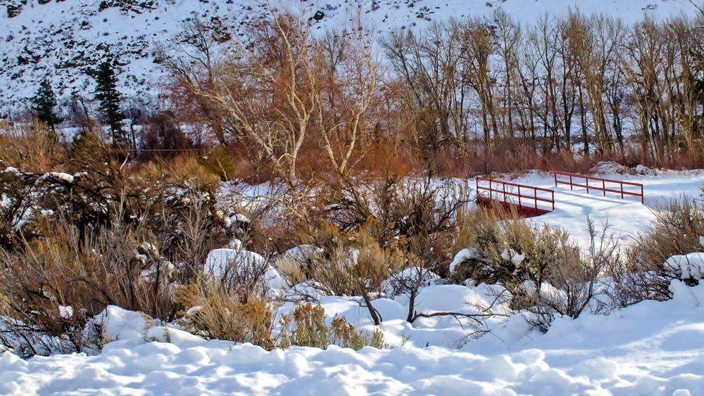 DSC_1553.jpg