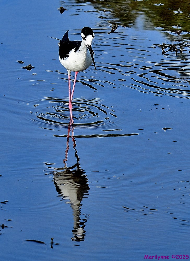 DSC_1553_001.JPG