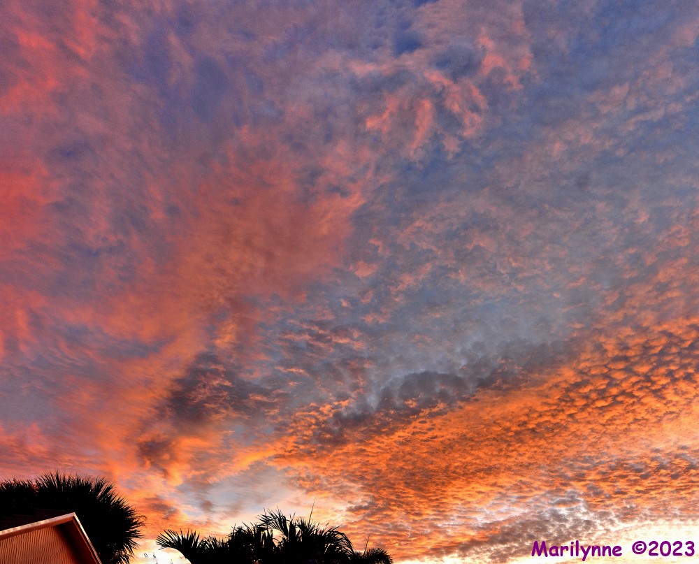 DSC_1555_stitch5_001.JPG