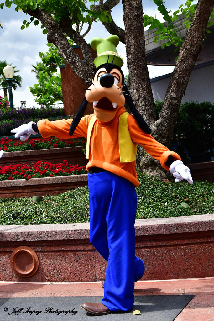 DSC_1556.jpg
