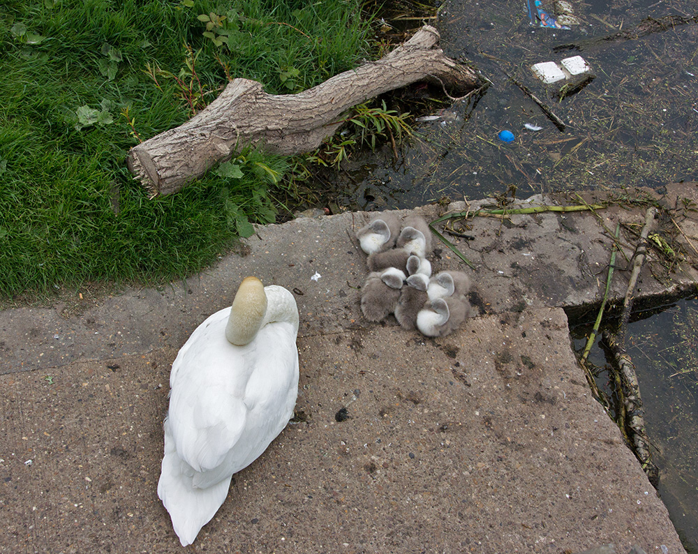 DSC_1557.jpg