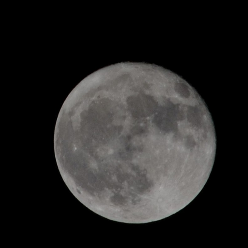 DSC_1557.JPG