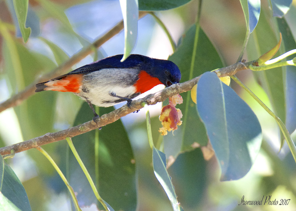 DSC_1558.jpg