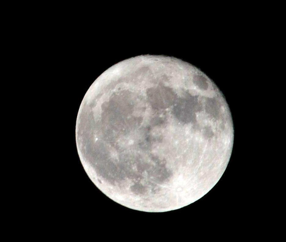 DSC_1558.JPG