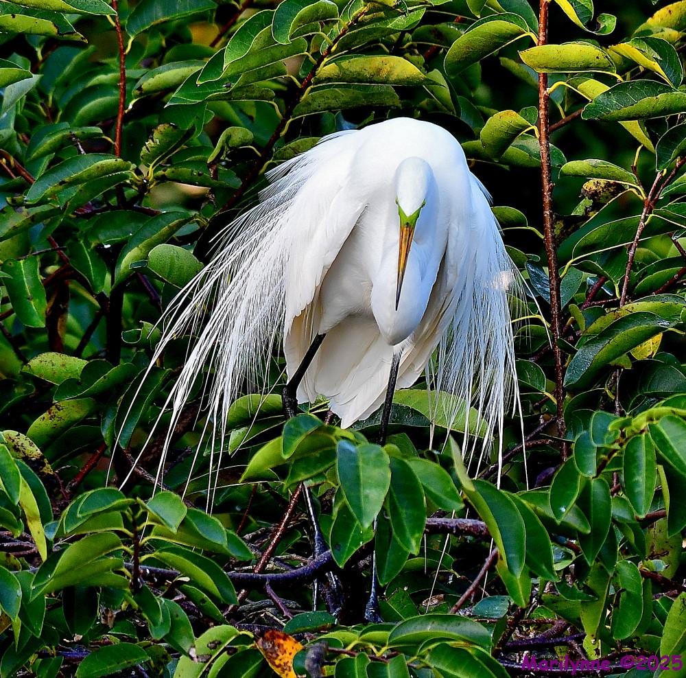 DSC_1558_001.JPG