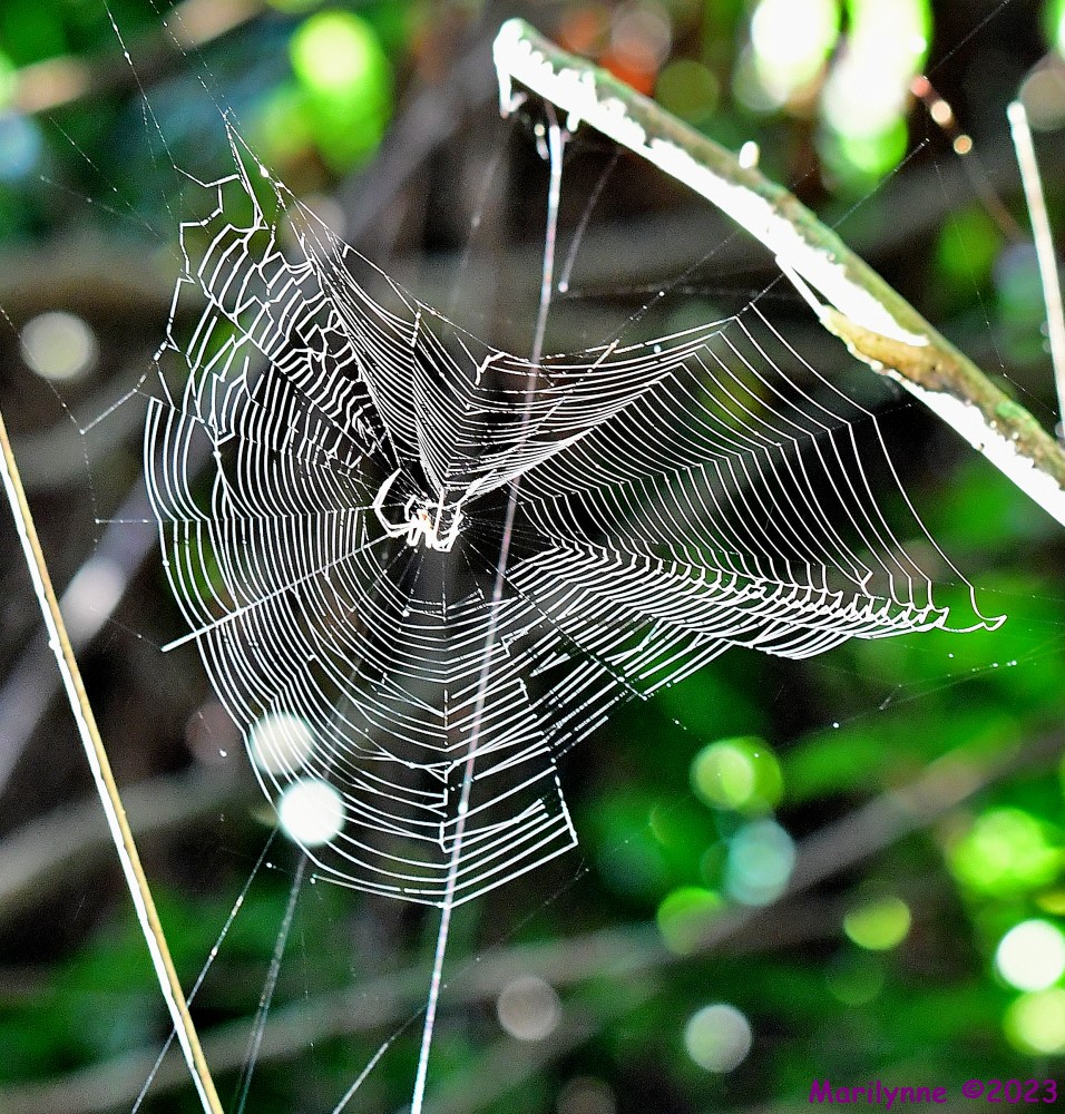 DSC_1560_001_01.JPG