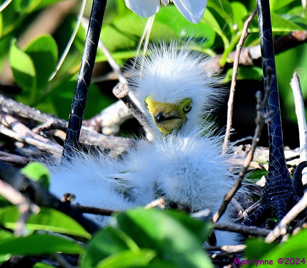 DSC_1565_001.JPG