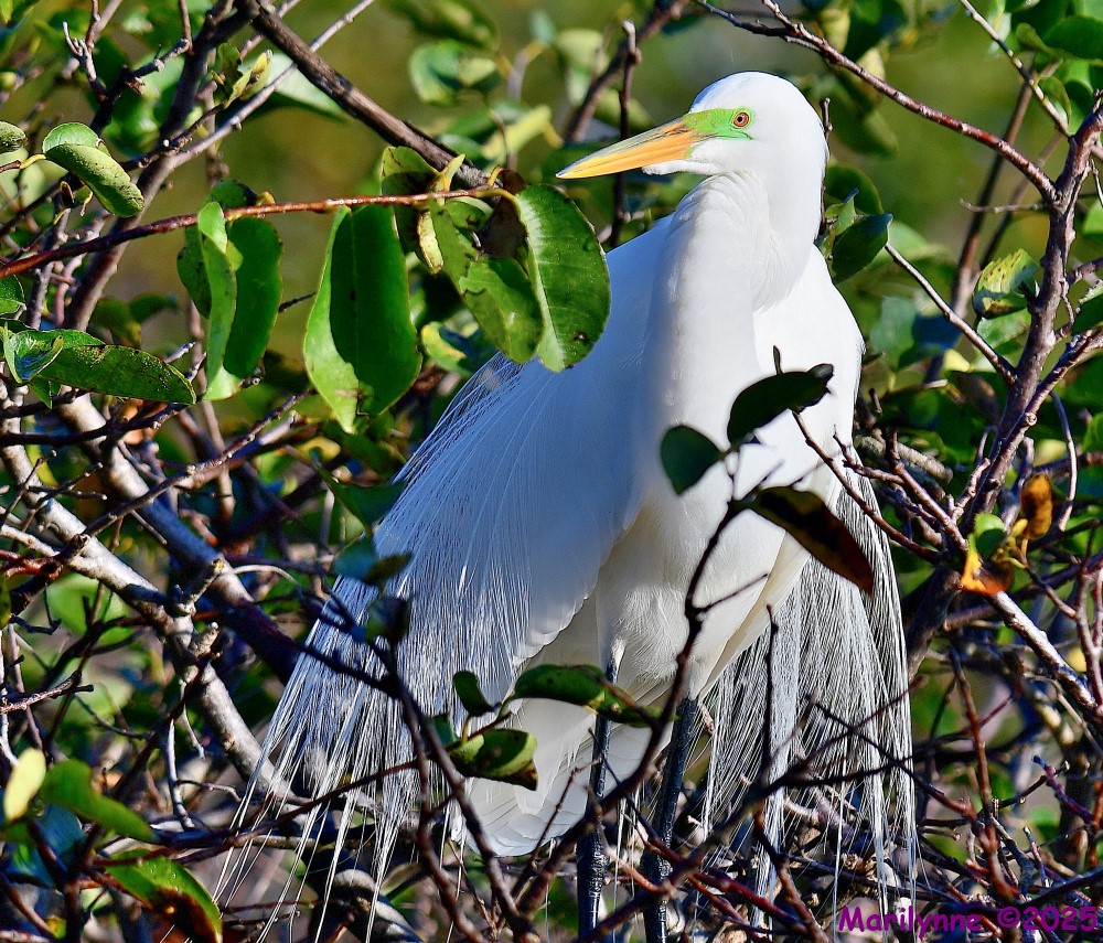 DSC_1565_001.JPG
