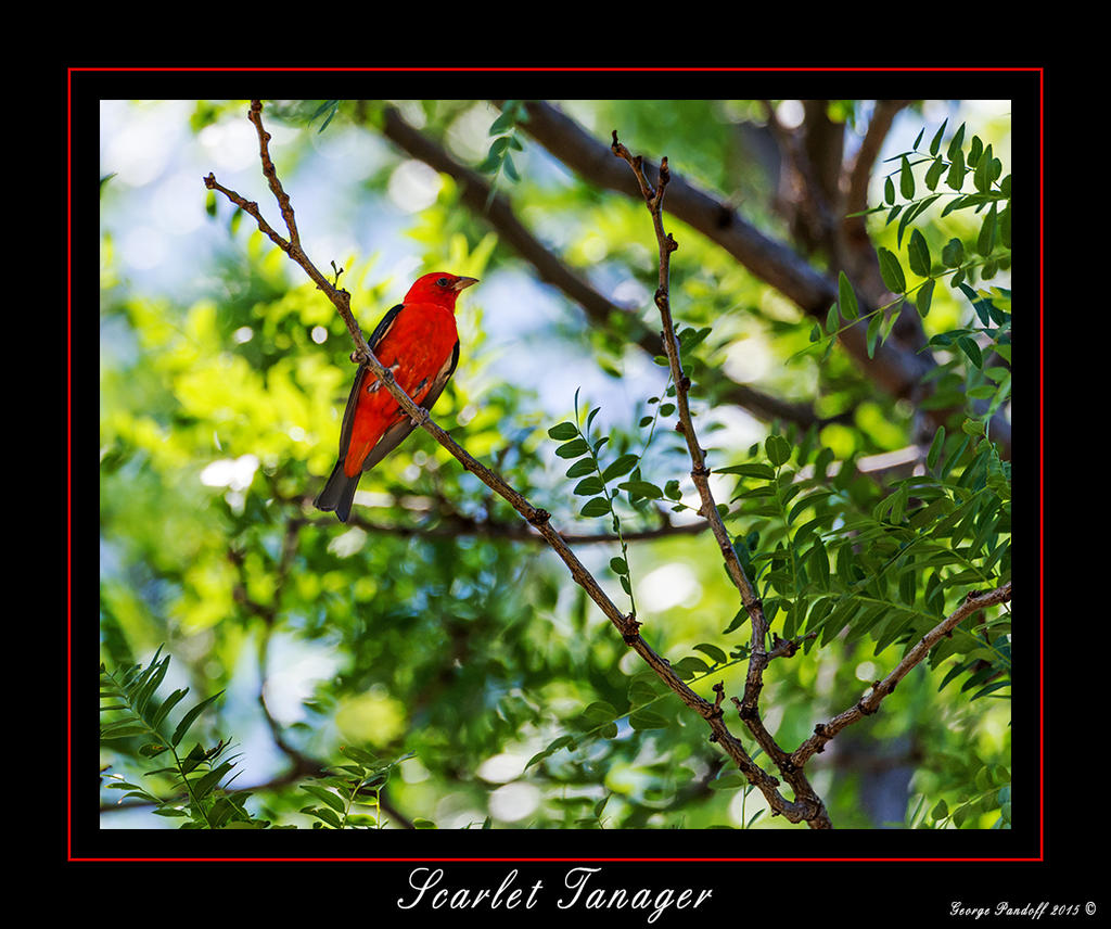 DSC_1570_Web.jpg